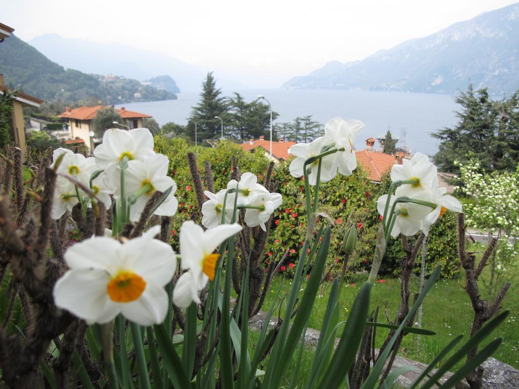 Oliveto Lario Villa Panorama מראה חיצוני תמונה